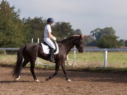 IMG_7838_web